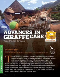 Advanced in Giraffe Care - Veterinary Diagnostics