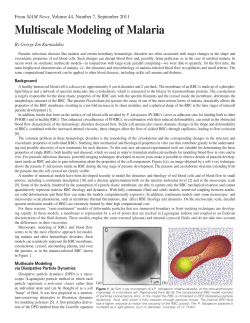 Multiscale Modeling of Malaria
