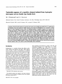 Nucleotide sequence of a repetitive element isolated
