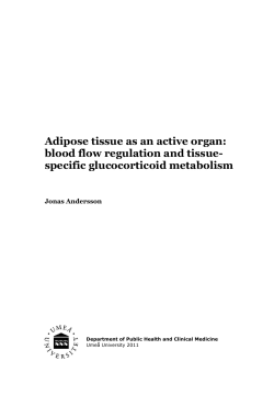 Adipose tissue as an active organ: blood flow regulation