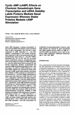 Cyclic AMP (cAMP) Effects on Chorionic Gonadotropin Gene