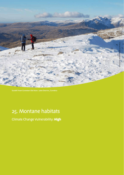 25. Montane habitats - Natural England publications