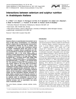 Interactions between selenium and sulphur nutrition in Arabidopsis