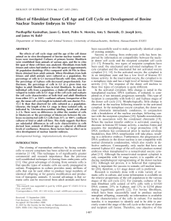 Effect of Fibroblast Donor Cell Age and Cell Cycle on Development