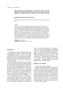 Discrimination of Basidiomycete Species and Strains by Random