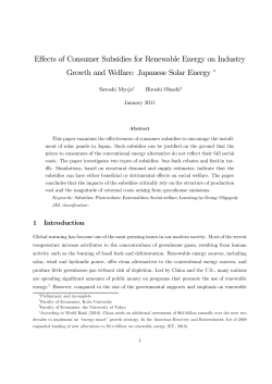 Effects of Consumer Subsidies for Renewable