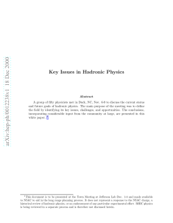 Key Issues in Hadronic Physics