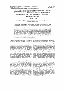Comparative Immunology of Ribosomes and Disc Gel