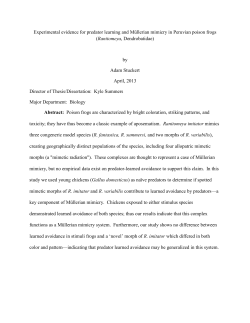 Stuckert_ecu_0600M_10956