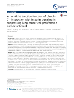 A non-tight junction function of claudin-7