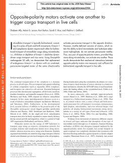 Opposite-polarity motors activate one another to trigger cargo