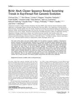 Bichir HoxA Cluster Sequence Reveals Surprising Trends in Ray