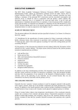 executive summary