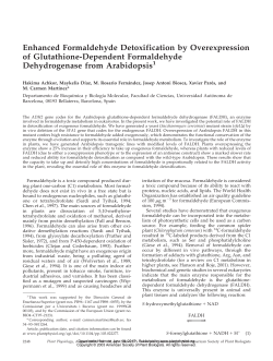 Enhanced Formaldehyde Detoxification by