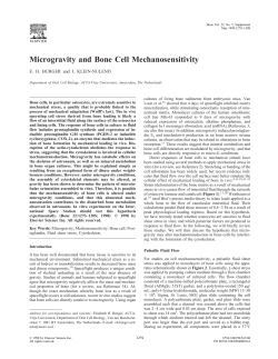 Microgravity and Bone Cell Mechanosensitivity