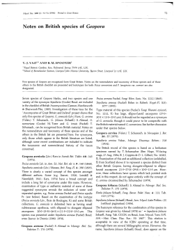 Notes on British species of Geopora