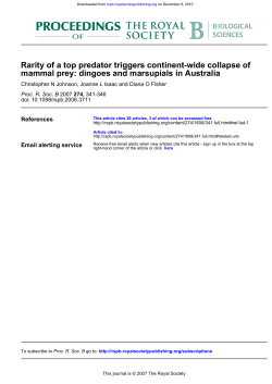 mammal prey: dingoes and marsupials in Australia Rarity of a top