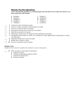BSG Mieosis Practice Questions