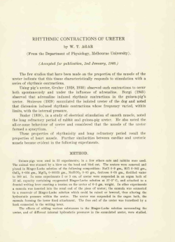 rhythmic contr/\ctions of ureter