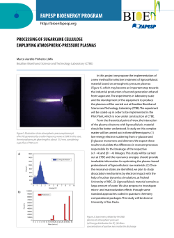 FAPESP BIOENERGY PROGRAM