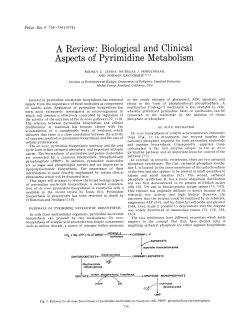 A Review: Biological and Clinical Aspects of Pyrimidine