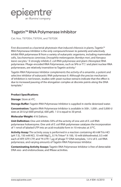 Protocol for Tagetin&trade; RNA Polymerase Inhibitor