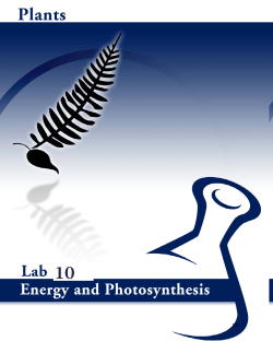 Full Manual Without Slides Hanna 7 08.pub