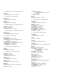 Dicot Families Lardizabalaceae through Rosaceae