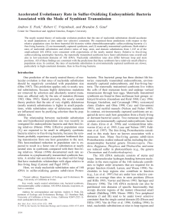 Accelerated Evolutionary Rate in Sulfur