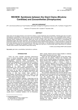 Symbiosis between the Giant Clams - Biodiversitas (Journal)