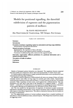 Models for positional signalling, the threefold