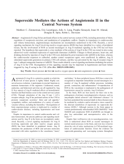 Superoxide Mediates the Actions of Angiotensin II in the Central