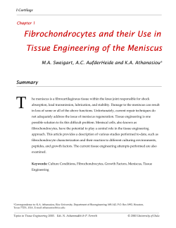 Chapter 1: Fibrochondrocytes and Their Use in Tissue Engineering