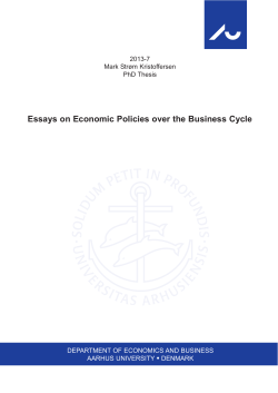 Essays on Economic Policies over the Business Cycle