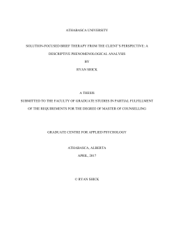 Solution-focused brief therapy from the client`s perspective: A