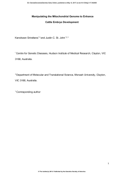 Manipulating the Mitochondrial Genome To Enhance Cattle Embryo