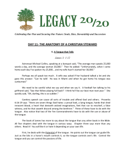 DAY 11- THE ANATOMY OF A CHRISTIAN STEWARD