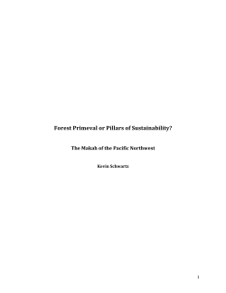Forest Primeval or Pillars of Sustainability?