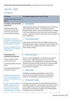 Appendix H &ndash; Digital STP Themes