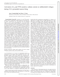 Activation of Ih and TTX-sensitive sodium current at subthreshold