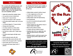 Quick Lunch and Snack Ideas