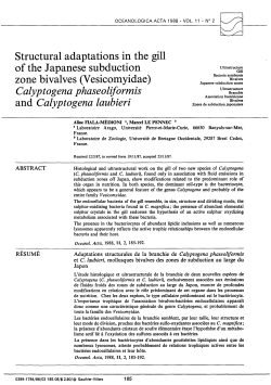 Structural adaptations in the gill of the Japanese subduction zone