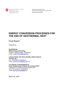 energy conversion processes for the use of geothermal heat