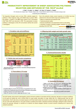 productivity improvement in sheep associating polygenic selection