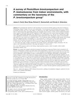 A survey of Penicillium brevicompactum and P. bialowiezense from