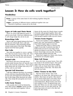 Lesson 2: How do cells work together?