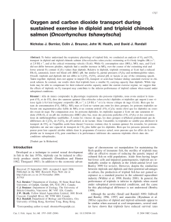 Oxygen and carbon dioxide transport during sustained exercise in