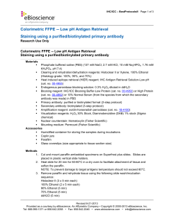 Colorimetric FFPE&mdash;Low pH Antigen Retrieval