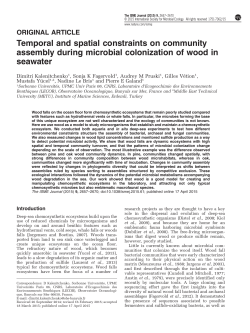 Temporal and spatial constraints on community assembly