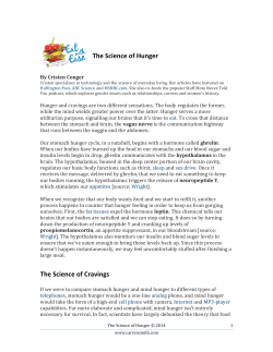 The Science of Hunger The Science of Cravings